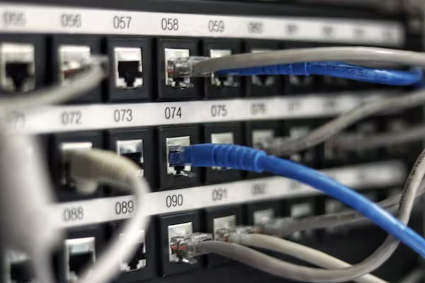 Close-up of blue and gray ethernet cables plugged into a numbered network patch panel